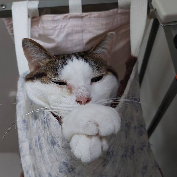 327cd3e7 d232 48fd ac5f 0e59bb54ae15 1717278350054