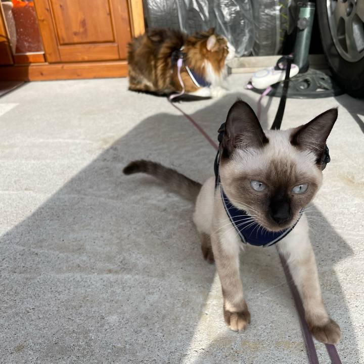 327d0cfc d46d 48f3 9550 a065b774d1b1 1696759036406