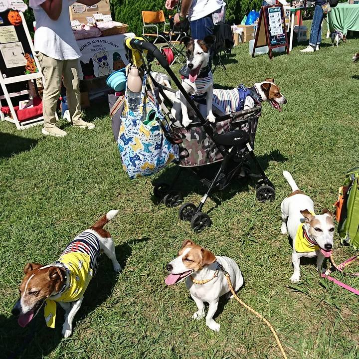 327d1013 3b36 4cb3 a225 8c965912bb14 1538899134913