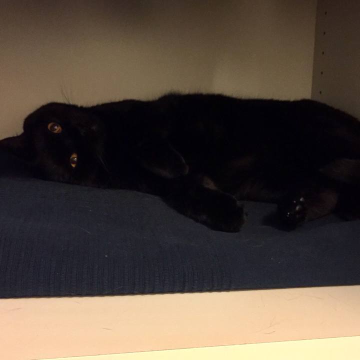 327d3683 9652 4acb ae62 240a16633033 1590152550474