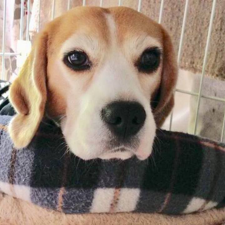 327d8278 5415 470c beca 07752cf0ec93 1509519374545