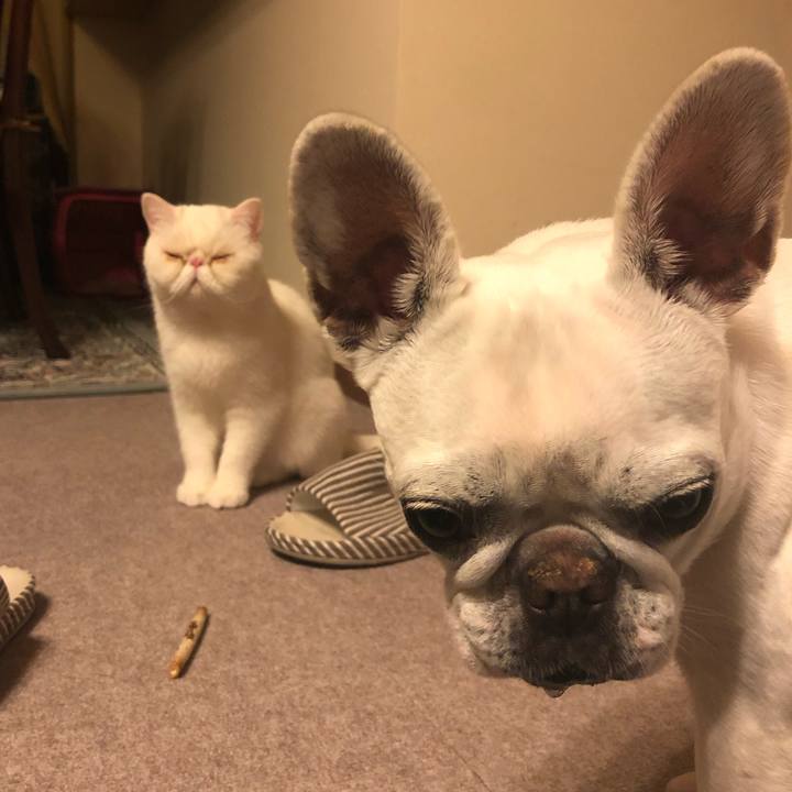 327de2c2 b433 4d30 86e2 bde7772f5f4b 1617327409435