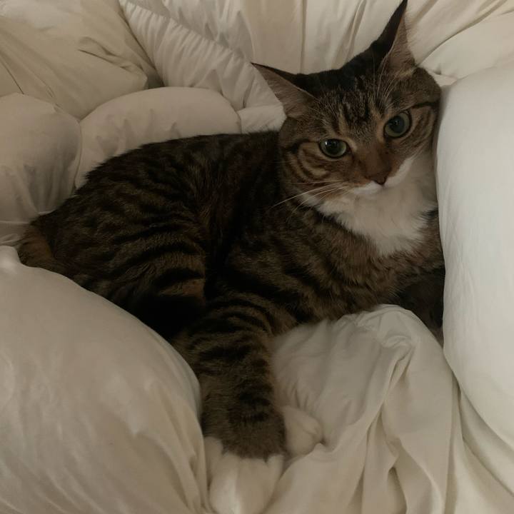 327deb57 f19e 4ae4 a779 4ec8278ad1e3 1603285575393