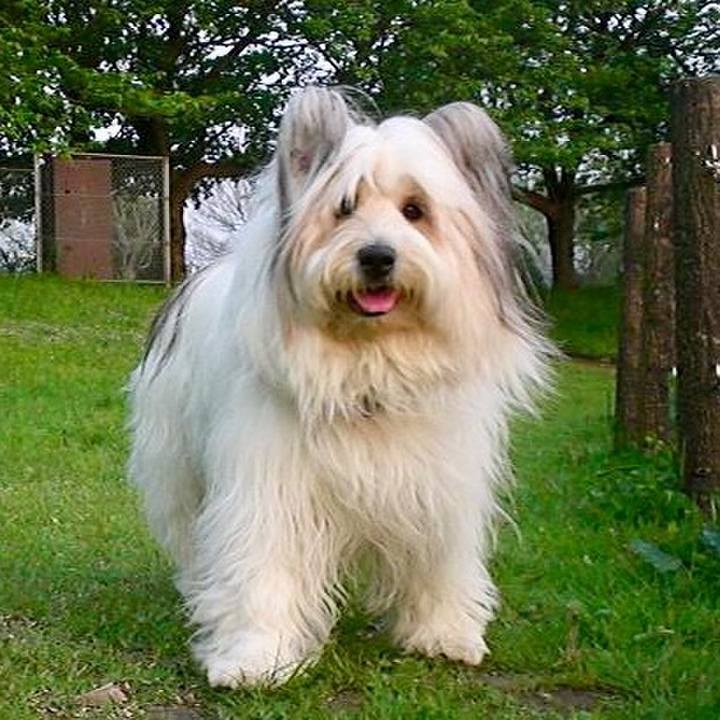 327e19fd 7cd0 4df1 a417 d986b3bafb14 1586265466237