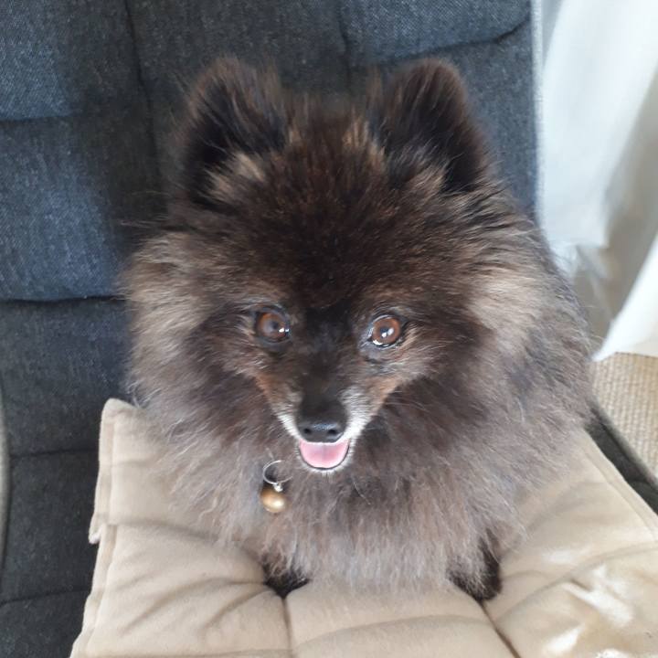 327e22ae 7924 4ffd a7a2 fe7a0c8e7454 1523248057598