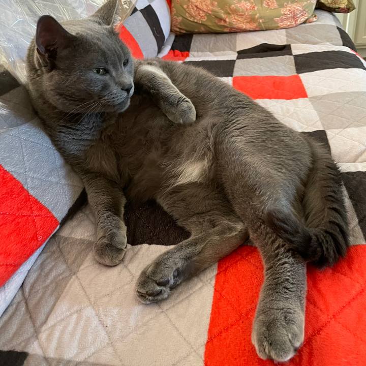 327e3cab 4b65 4e39 b338 f6e880ad5759 1695861712648