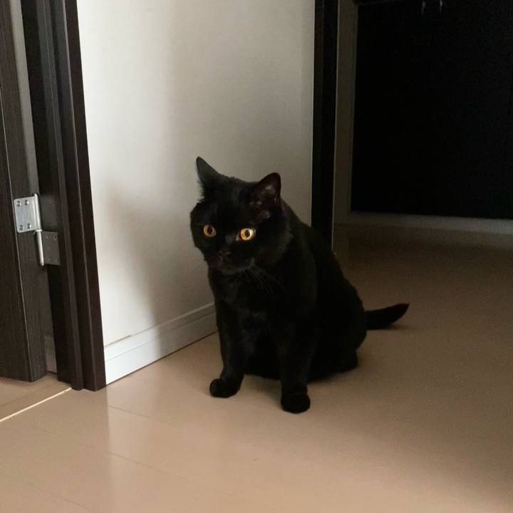 327e4d16 2265 4d63 b0e7 284c4bced161 1718098035546