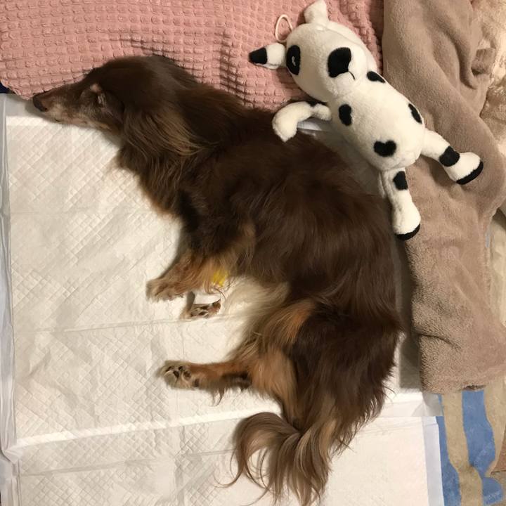 327e61b2 b5f6 41da bdfa 64ec28a99787 1602855440795