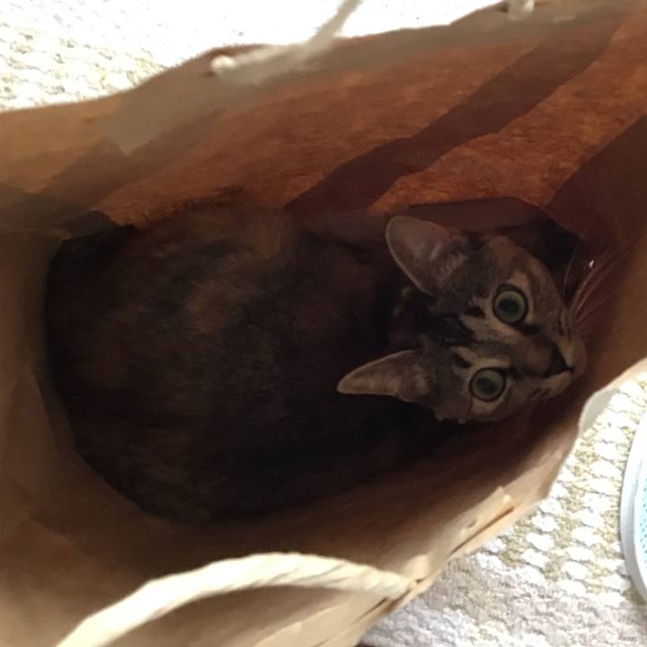 327ed6f1 08d4 4a9b a36b 9ad8d851f5ea 1592892531792