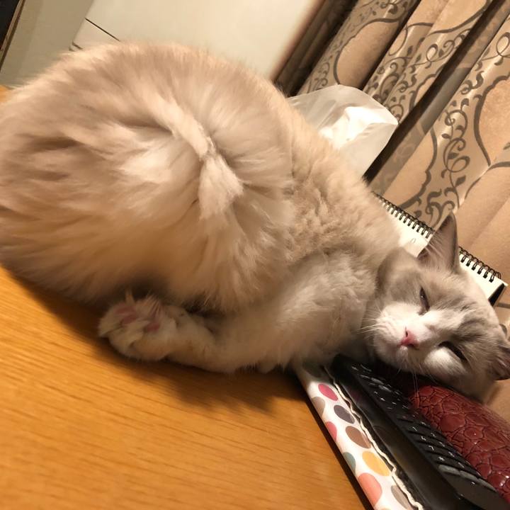 327efba4 d6d5 4637 920a e9a594f440de 1569324476112