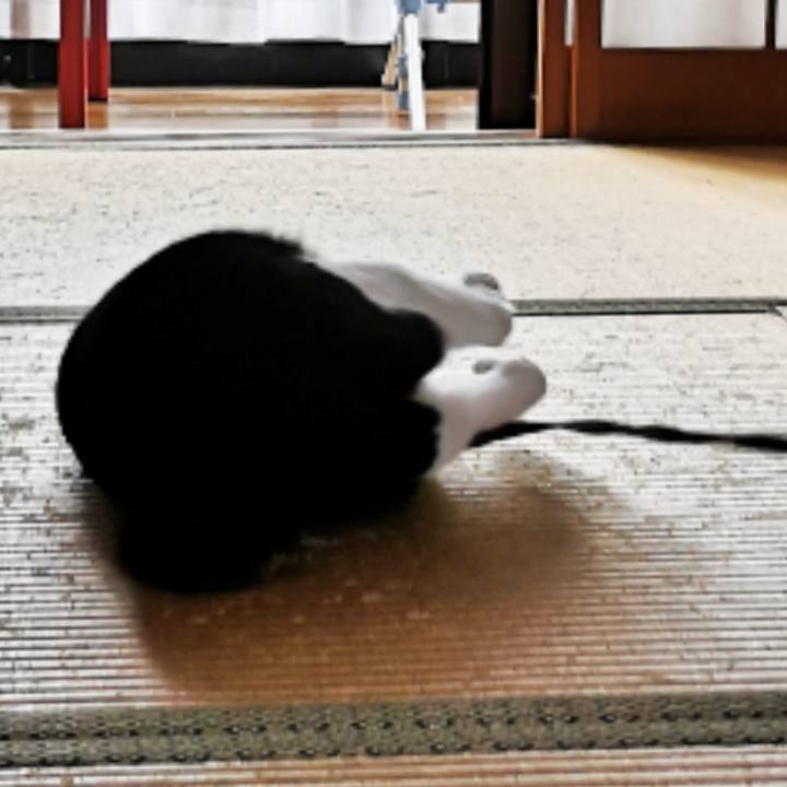 327f259d fc78 4c47 8fb8 3dd40d75f1b0 1567865124300