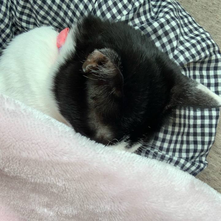 327f584a f338 418c 936a 9fd7d33479b2 1756942165580