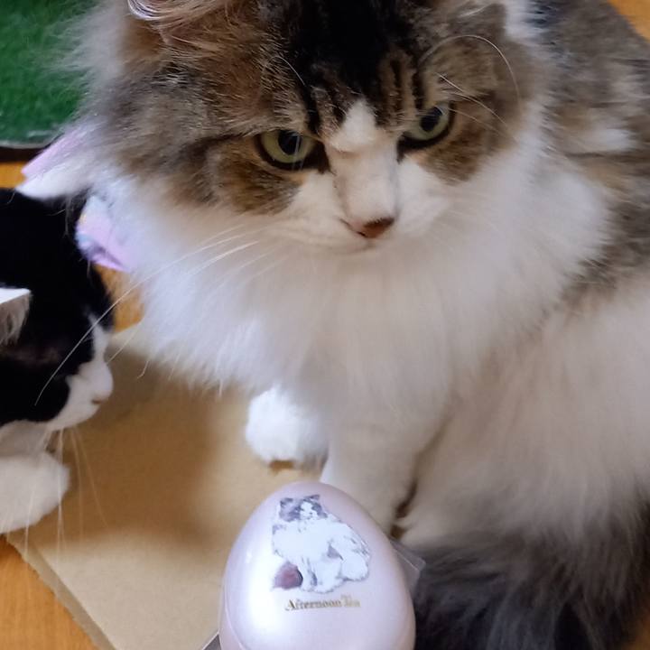 327f58ce a19b 4531 a281 5ddb6cd0fd8d 1658282361925