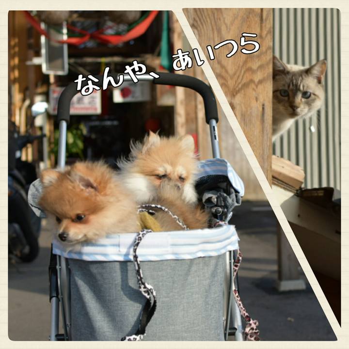 327f9295 15d1 4e9b 9f26 c4002918088b 1515244035155