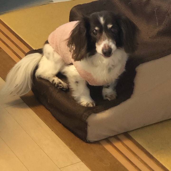 327f968d 29c2 4a02 9557 897eaeb85308 1581603160396