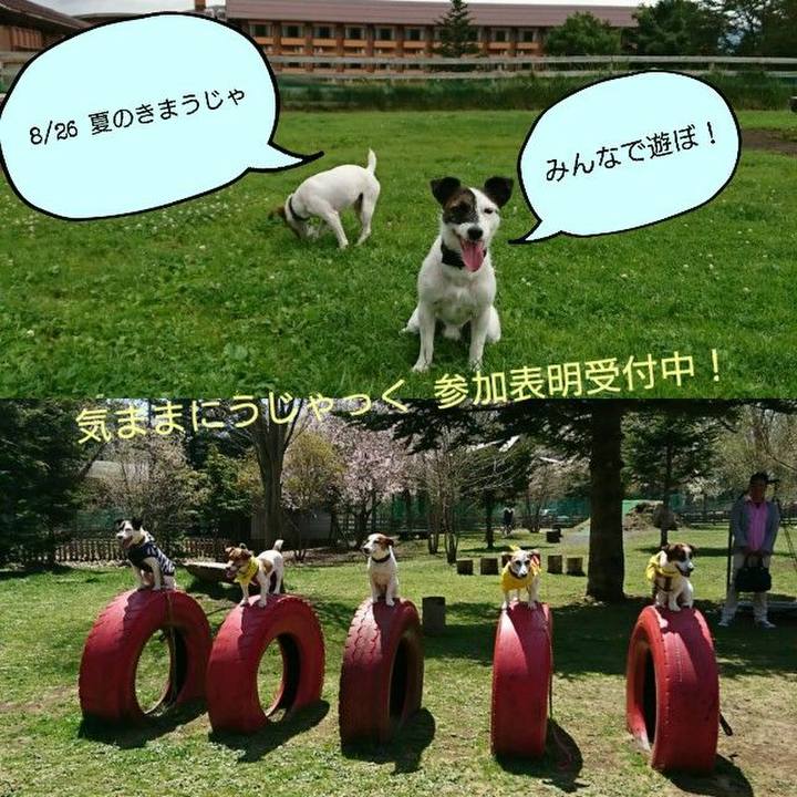 328003f5 1c27 416d 81ad 68626b5f56d9 1532528638905