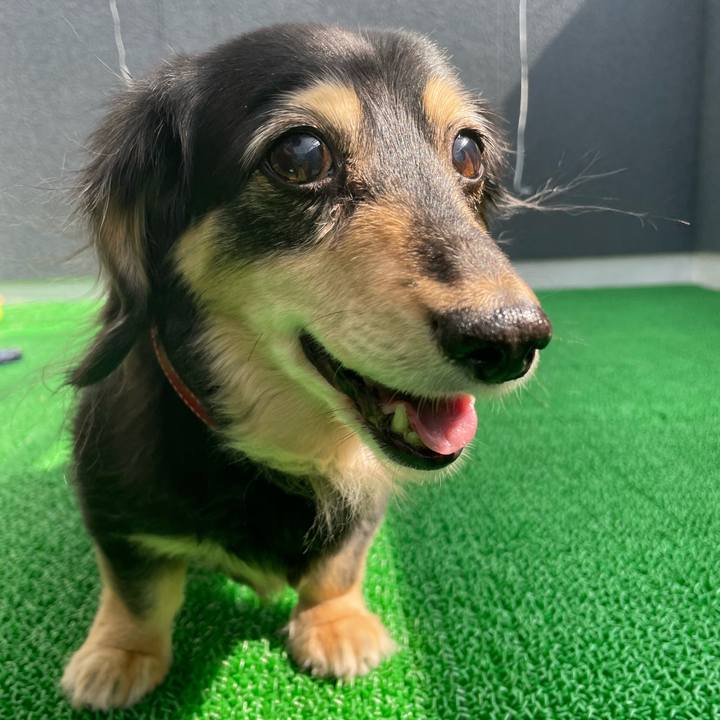 3280bea2 ede2 4700 9cea 6774abaa60f2 1654300568652