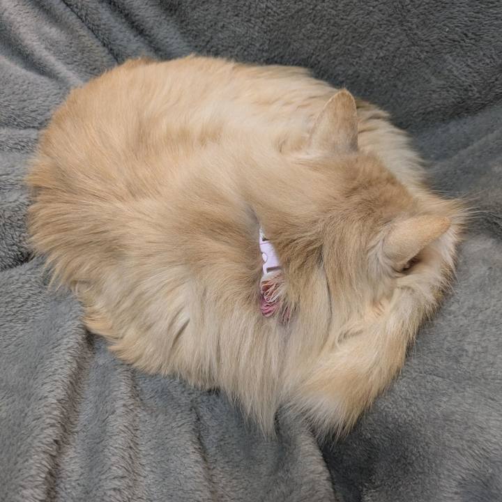 3280c932 a8c9 457d 85ec d1f983f5bb33 1773409374177