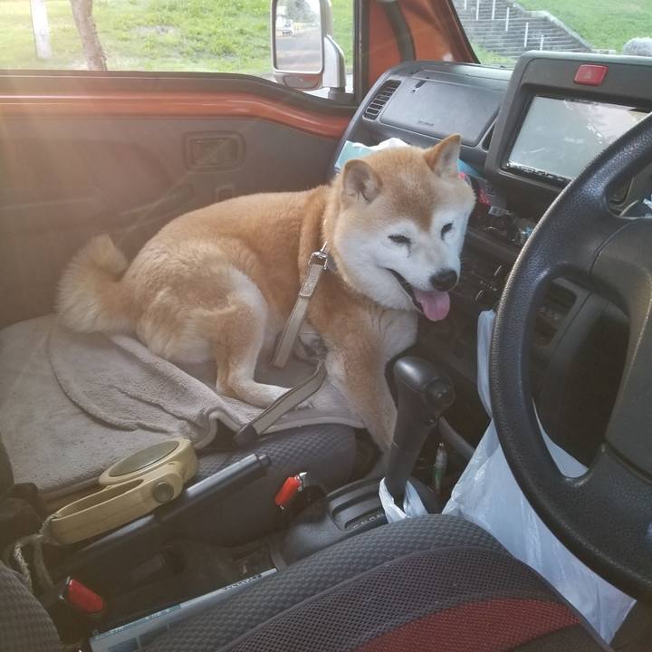 328104eb d134 49ce bb63 17d69f233ae7 1718270013999