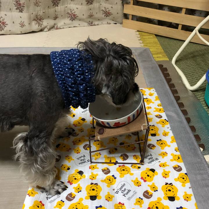 32810ed4 c328 4dc1 80da fefb8e6f4c01 1631702683566