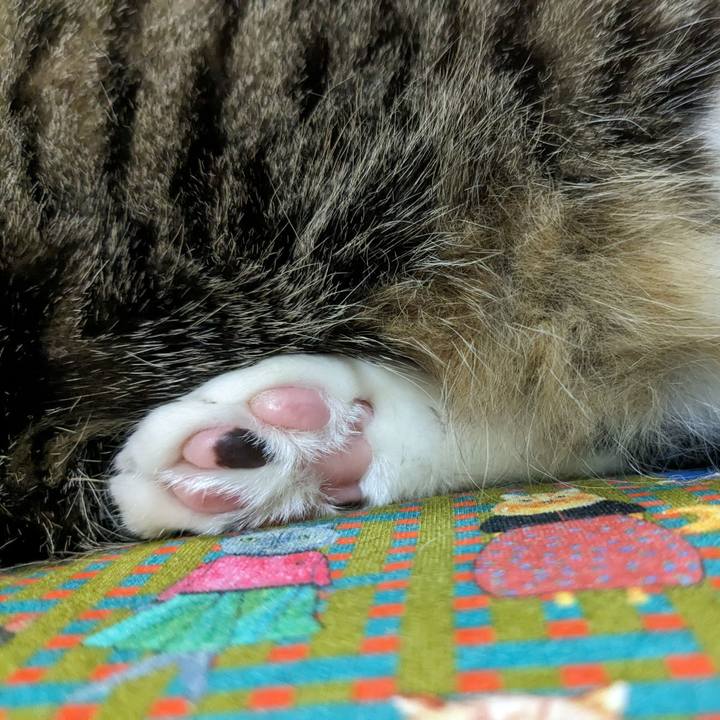 3281291b 75a2 43aa b24e 2cf42db5ab51 1699853119581