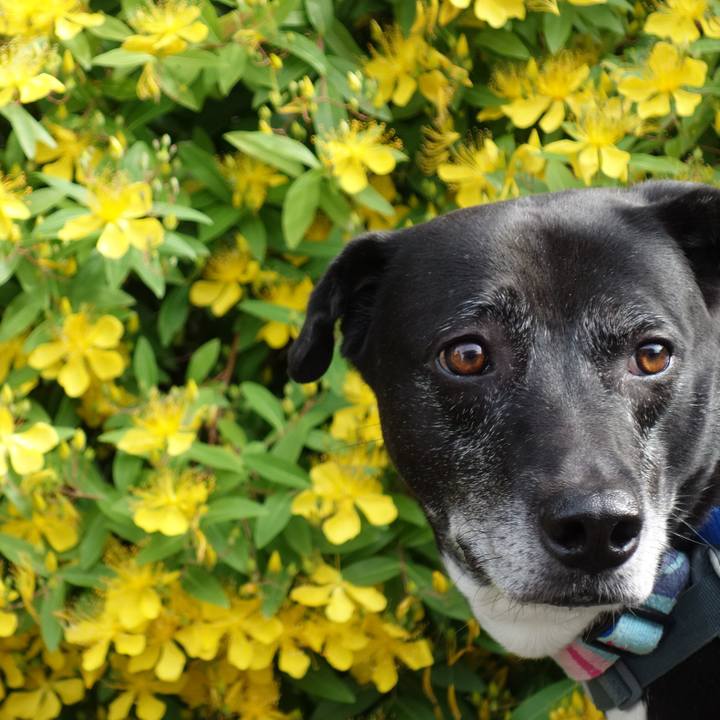 3281773f dced 4325 86b8 2ff8aaa69085 1748219743587