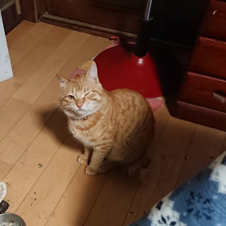 3281abc5 d75e 4fe8 8fdc 164fce33e1db 1647031534740