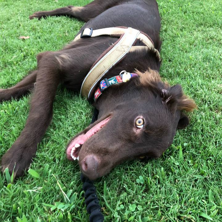 3281c9bf b366 423a 8b21 be92bf013ad6 1567593594322