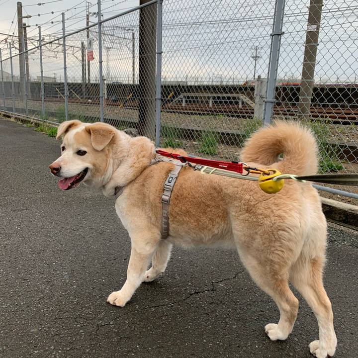 3281eb29 1917 4002 a04e 280780380f6f 1616899961455