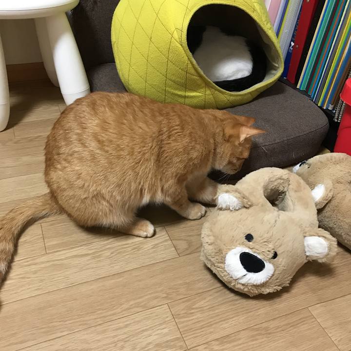 3282099d b4de 4609 be80 f67166485c9d 1525868774036