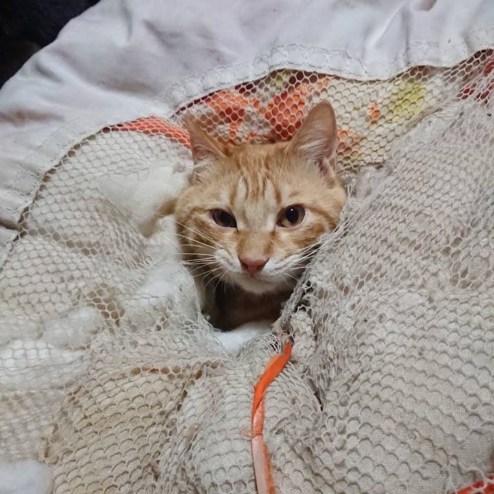 32821ad4 eef5 4849 9385 13be3f1356e5 1646168628918