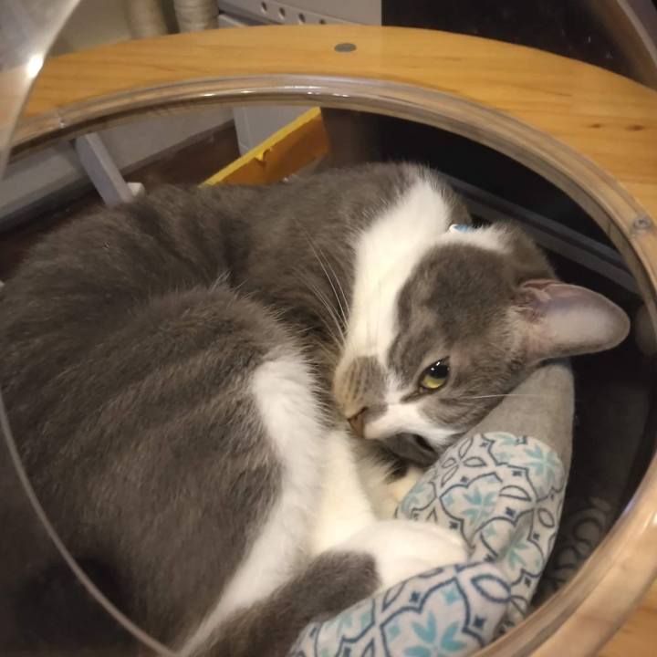 32824366 8d14 4667 a45f 7a42de88bed4 1662118236527