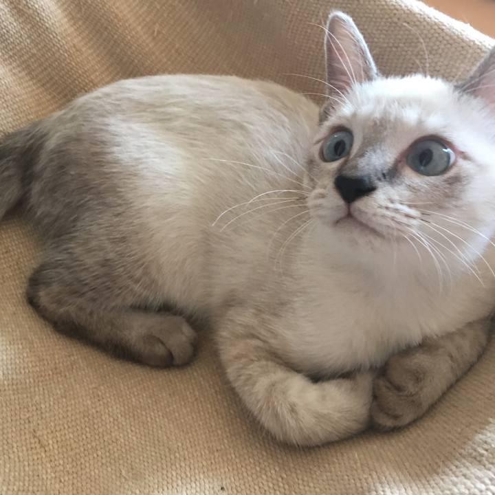 328248bf b75b 4718 8e98 0da3ce708fd1 1535586119715