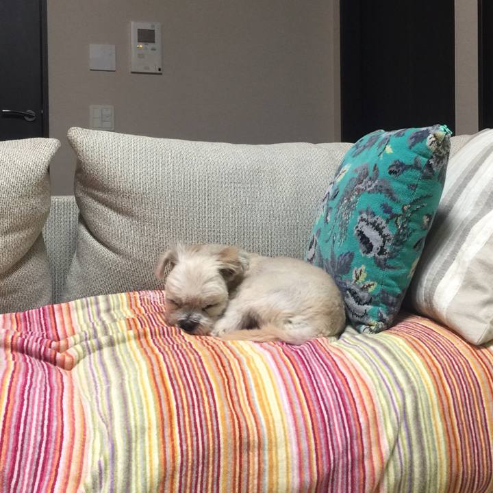 32825a0d 3c22 4cf5 aa1a e829659feaa3 1541760747937