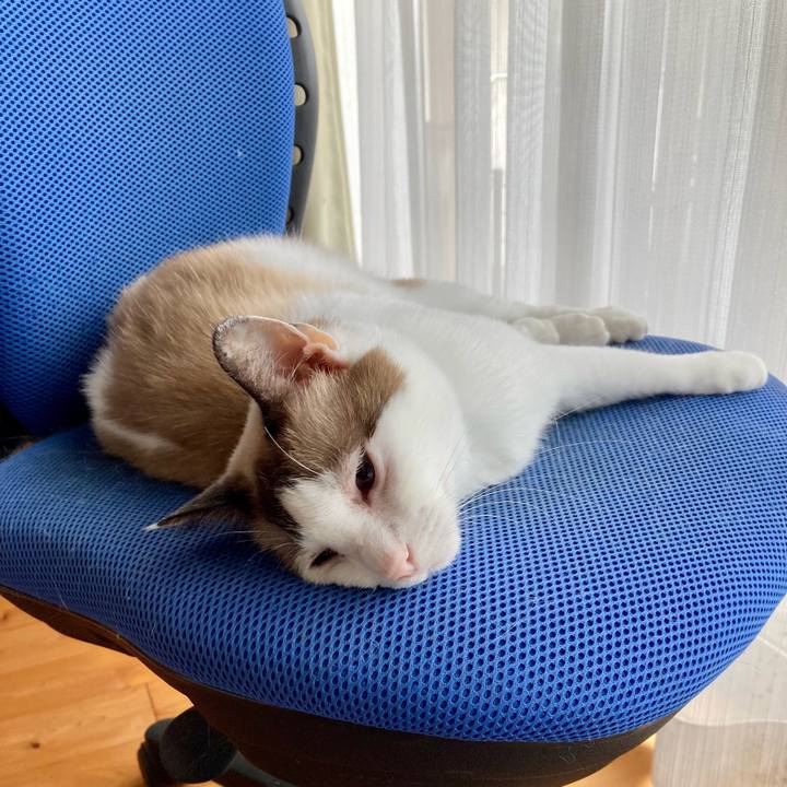 3282607f 3aa2 4aad 9c99 3f4726d39e96 1634456102285