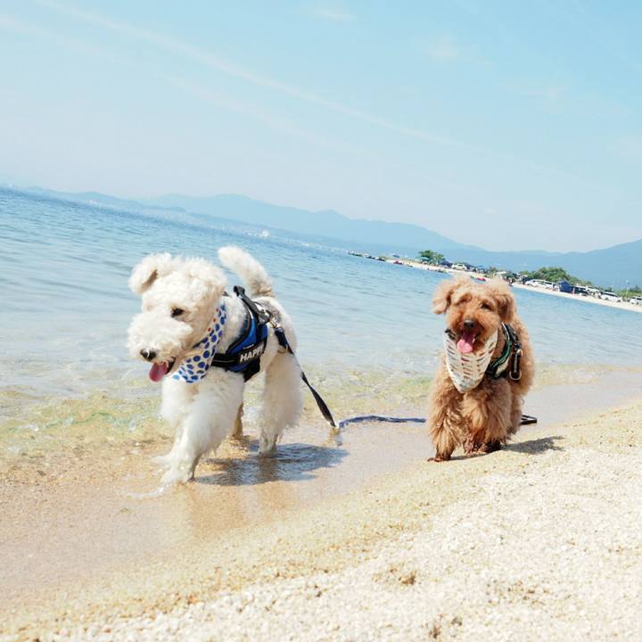 32826504 27e3 4b53 af7e 74065db781b6 1528029507120