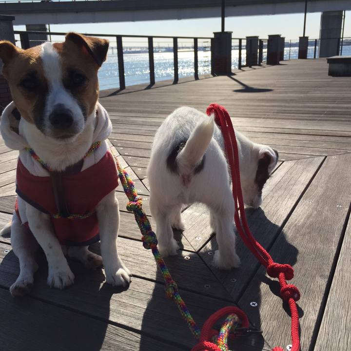 3282730a 8a29 4b22 9926 b329aae225ee 1694520057972