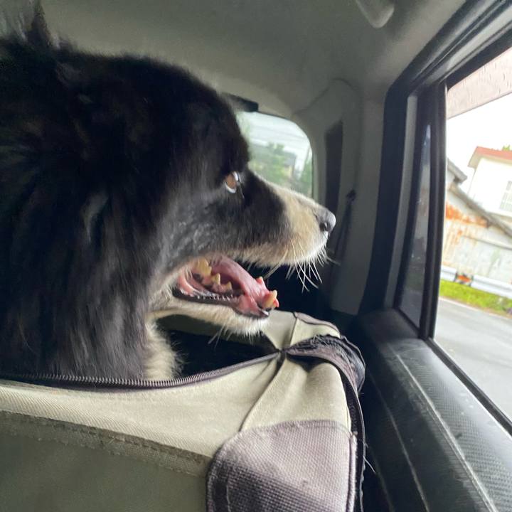 32827ec2 7ae6 436c 80ff 3d8a0d832caf 1695247141504