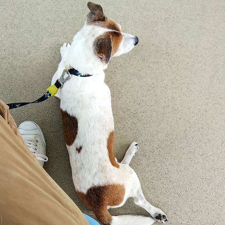 32828637 a920 47ab ac2d bba7ef902ddf 1555994696975