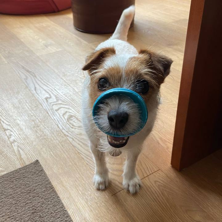 3282b861 bb13 487a 86f9 b18920ef36e0 1593263115328