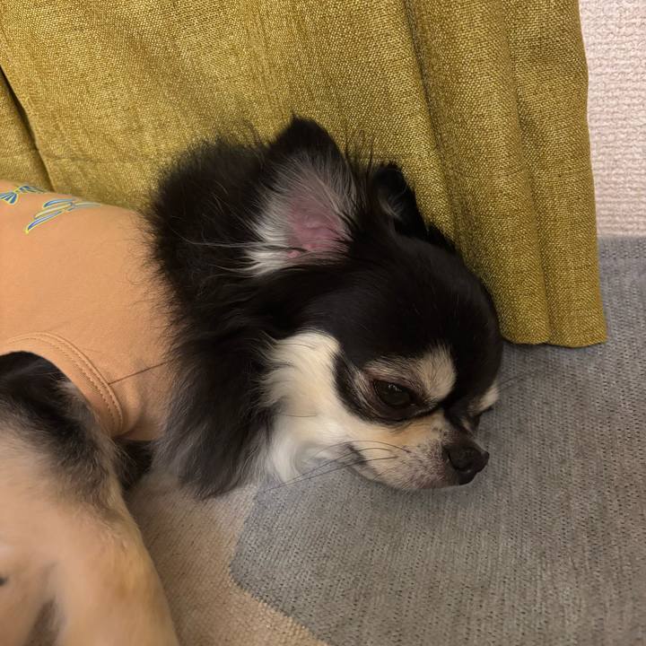 3282d589 bf1b 41a3 9438 d075b55f67bf 1742661607363