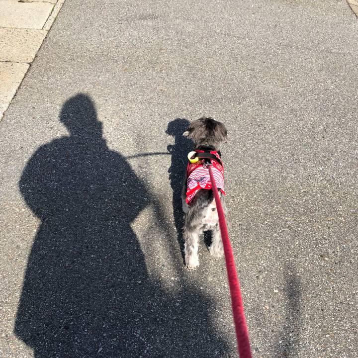 3282d906 e434 4983 98f6 e246fe132bce 1521855663297