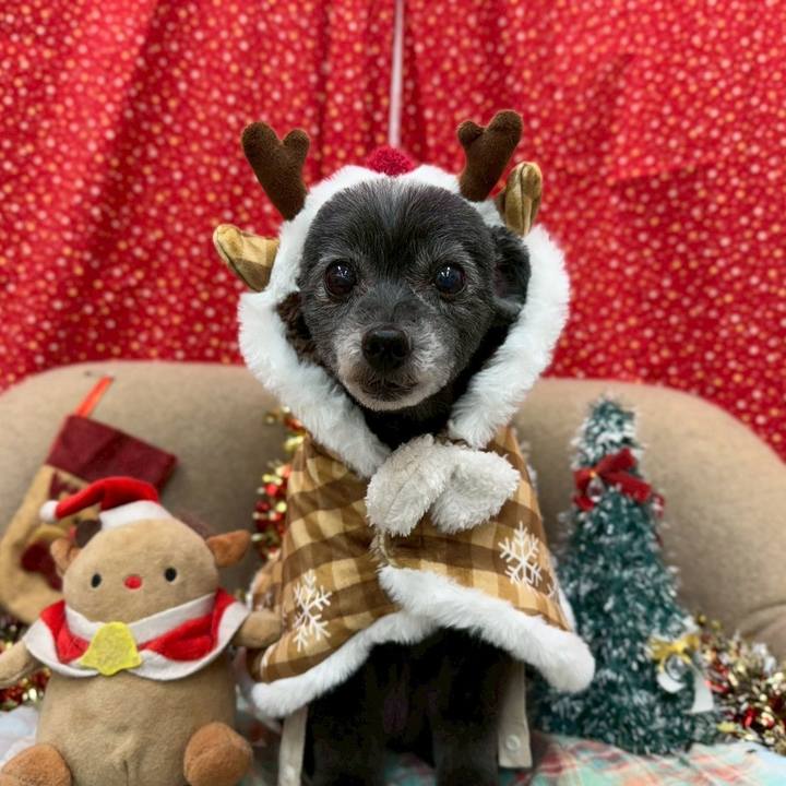 3282fd04 091e 41a1 87da 5843f52c5fed 1765619950730