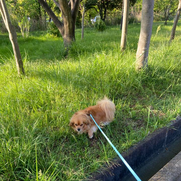 32831fea 49cc 4fa0 977c 73382a384da2 1589232758440