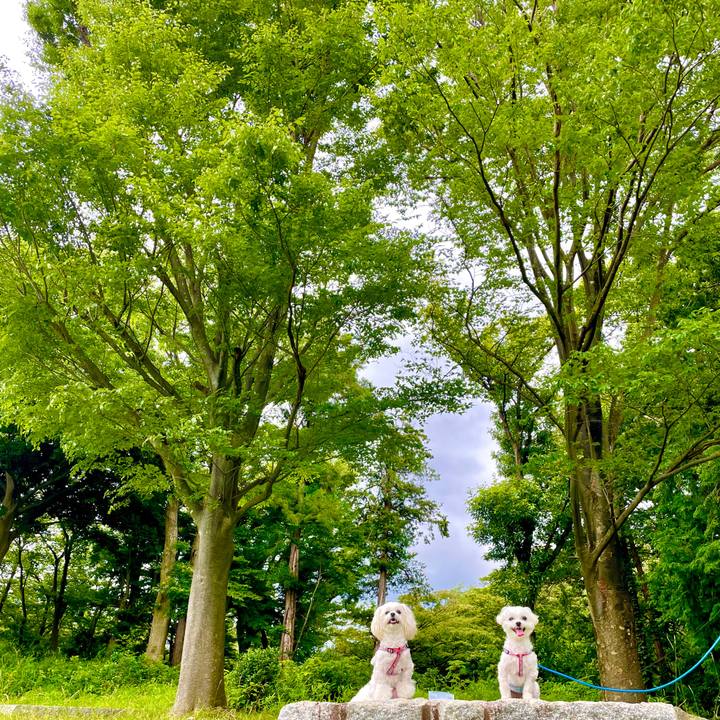 32834984 0537 4636 b88a 708bad1c731d 1624246031310