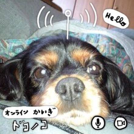 3283692d 1f77 4543 98ef b714750aa8a6 1590682665539