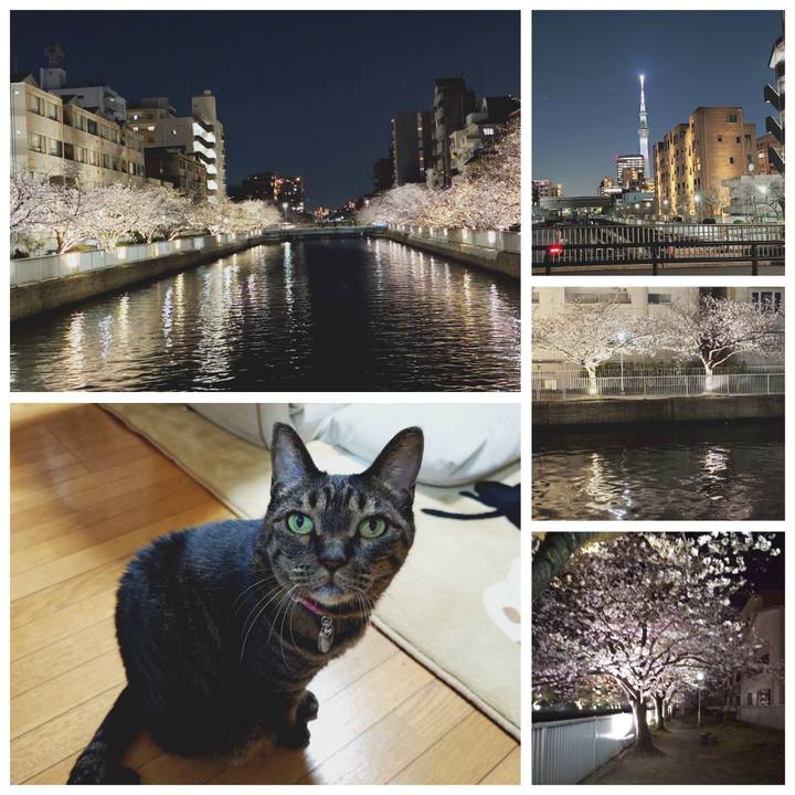 32836ee4 c48b 42ed ac81 7f5015b70662 1775216971225