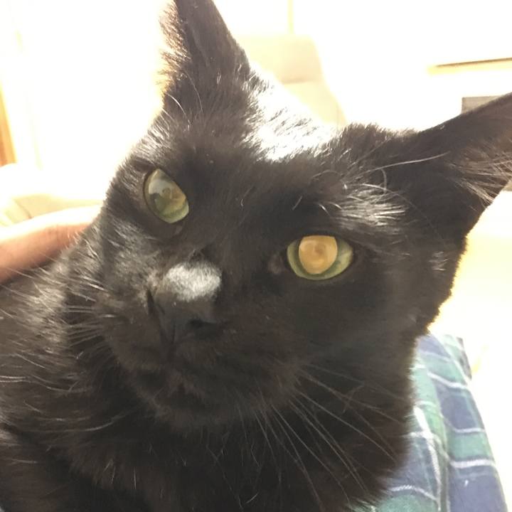 32837183 1397 4675 a58c 79cd74043e3e 1544913573599