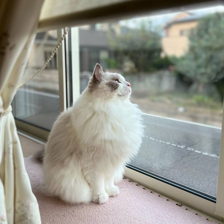 32839697 b92b 41f7 bc58 1fea0136d95f 1697407286418