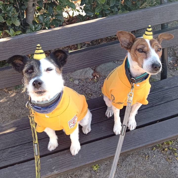 328399c1 3d6d 47d6 b38e 4147b714991c 1706921007671